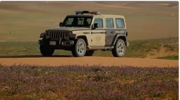 القبض على 3 مواطنين مارسوا الصيد المخالف داخل محمية الملك عبدالعزيز الملكية
